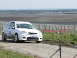 IMG 7231