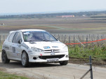 IMG 7245