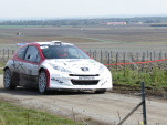 IMG 7184