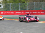 IMG 7798