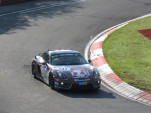 IMG 9558