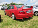 IMG 9873