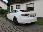 IMG 9523