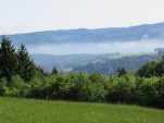 IMG 9756