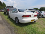 IMG 9912