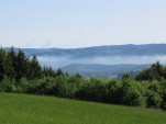 IMG 9758