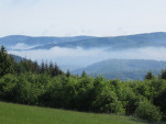 IMG 9753