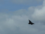 P1010945