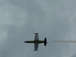 P1010754