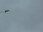 P1010755