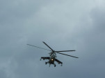 P1010769