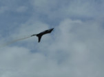 P1010941