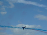 P1010993