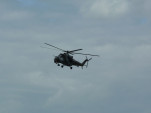 P1010768