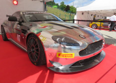 Paddock
