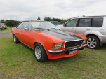 IMG 5358