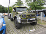 IMG 5494