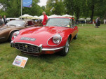 IMG 6167
