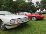 IMG 6295