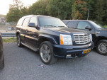 IMG 7444