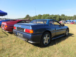 IMG 7618