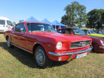 IMG 7634