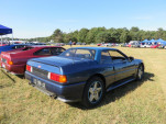 IMG 7619