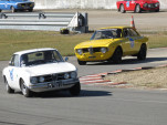 IMG 7903
