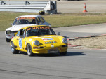 IMG 7897