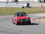 IMG 7908