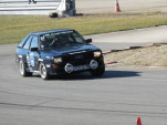 IMG 7994