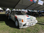 IMG 7525