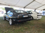 IMG 7532