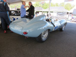 IMG 7481