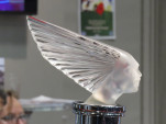 IMG 0255