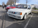 IMG 0869