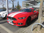 IMG 0918