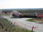 IMG 1921