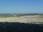 P1200504