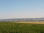 Photo0037
