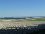 P1200505