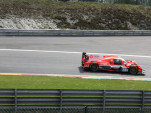 IMG 3037