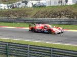 IMG 3166