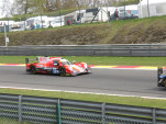 IMG 3181