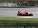 IMG 3067