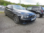 IMG 4761