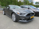 IMG 4781