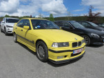 IMG 4631