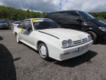 IMG 4742