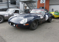Paddock